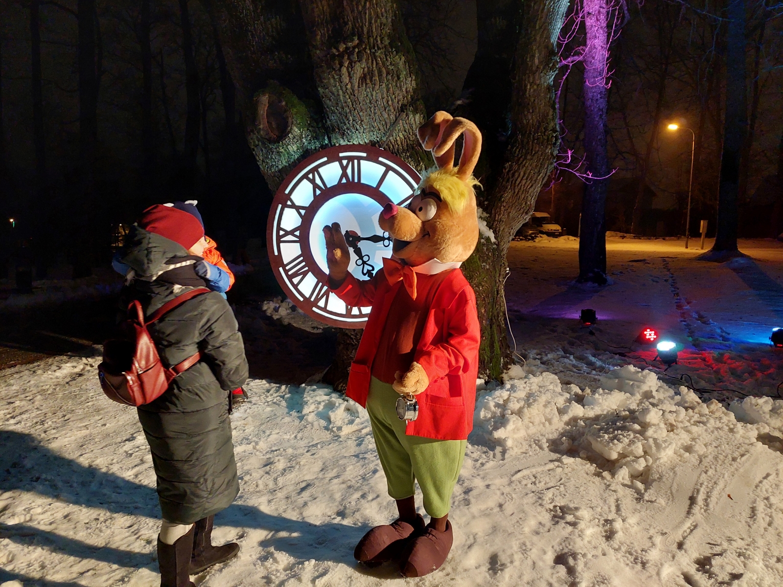 Iecava svētku rotā un pasaku mežs parkā (6)