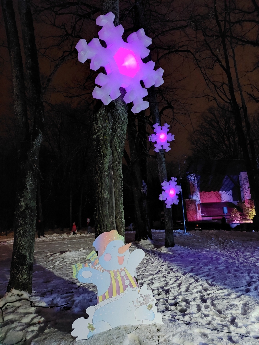 Iecava svētku rotā un pasaku mežs parkā (11)