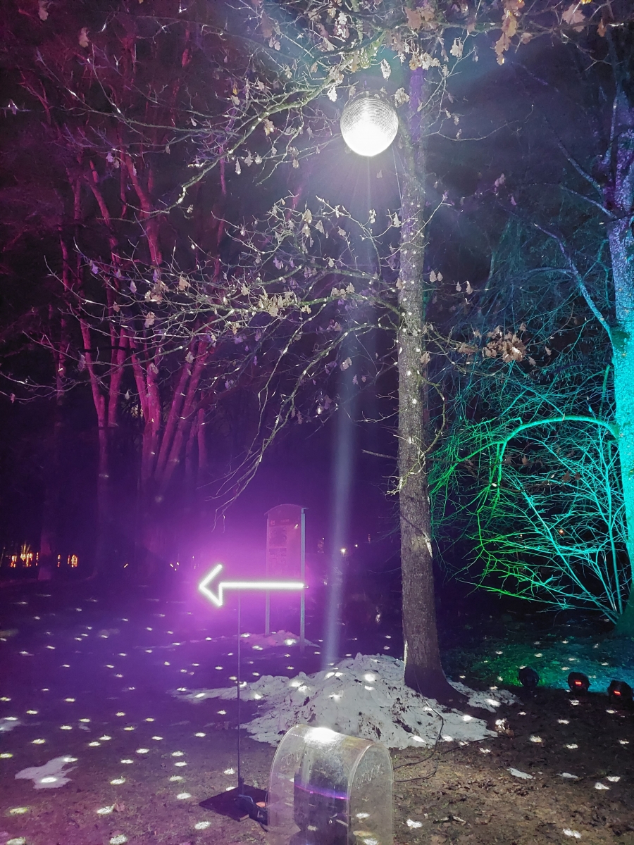Multimediālā pastaigu taka ''aiz ziemas pastkartes malām'' (8)