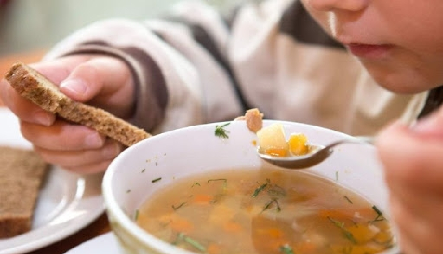 Bauskas novada domes sēdes darba kartība