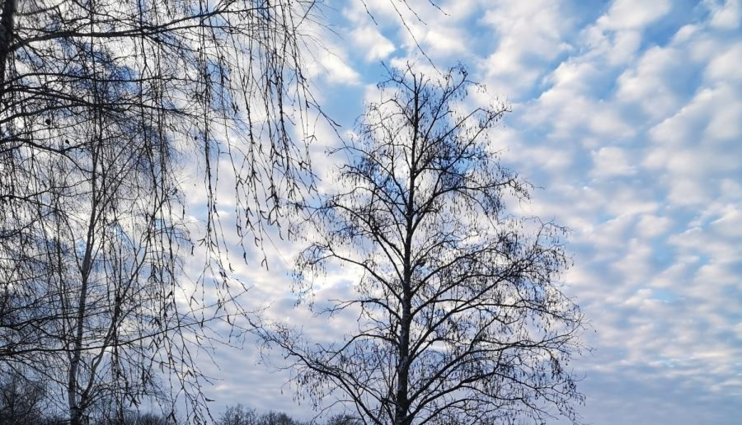 Vietas, kur slēpot Bauskas novadā
