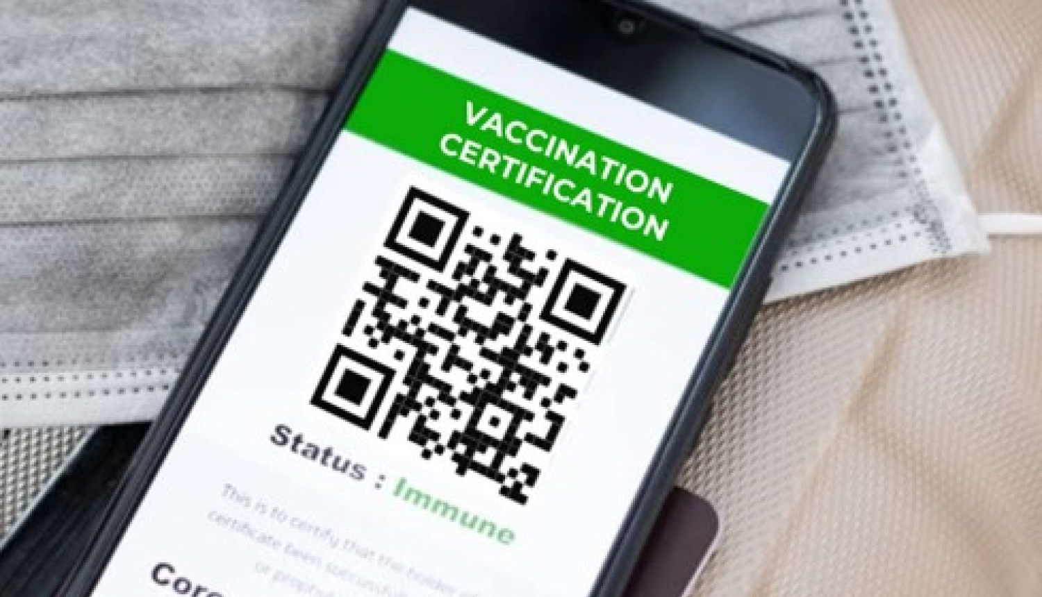 Informācija par vakcinēšanas nosacījumiem asistenta, pavadoņa un ES finansētā aprūpes pakalpojuma sniedzējiem un saņēmējiem