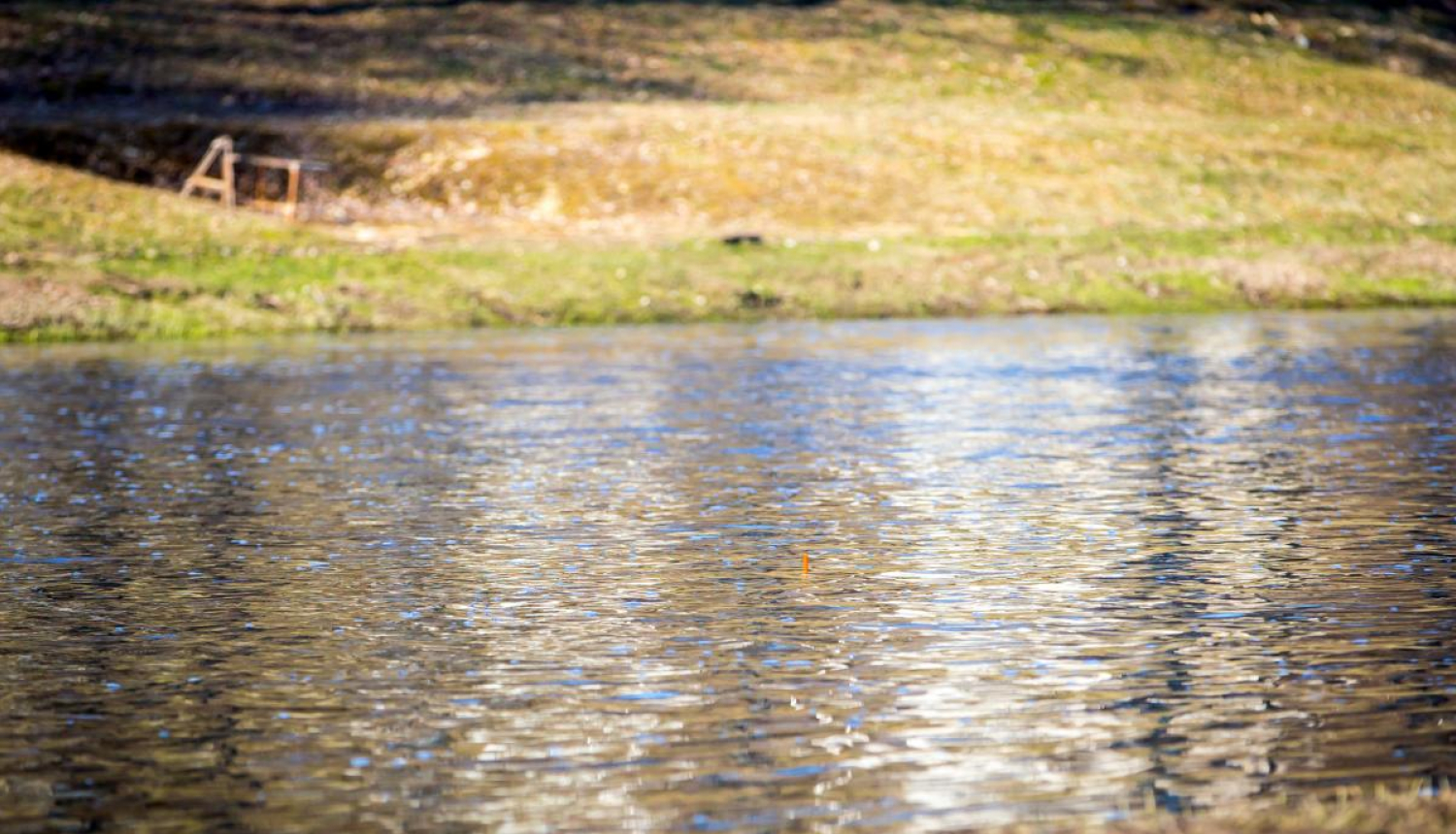 Veiks Lielupes gultnes tīrīšanu Mežotnes pagastā