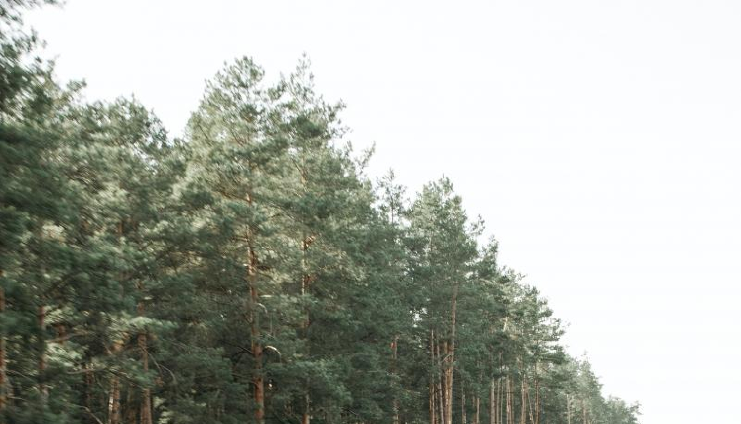 Autovadītāju ievērībai: sestdien Ķekavas apkārtnē velosacensības un satiksmes ierobežojumi