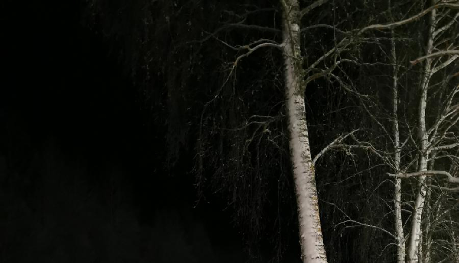 Vecumniekos izveidota distanču slēpošanas trase