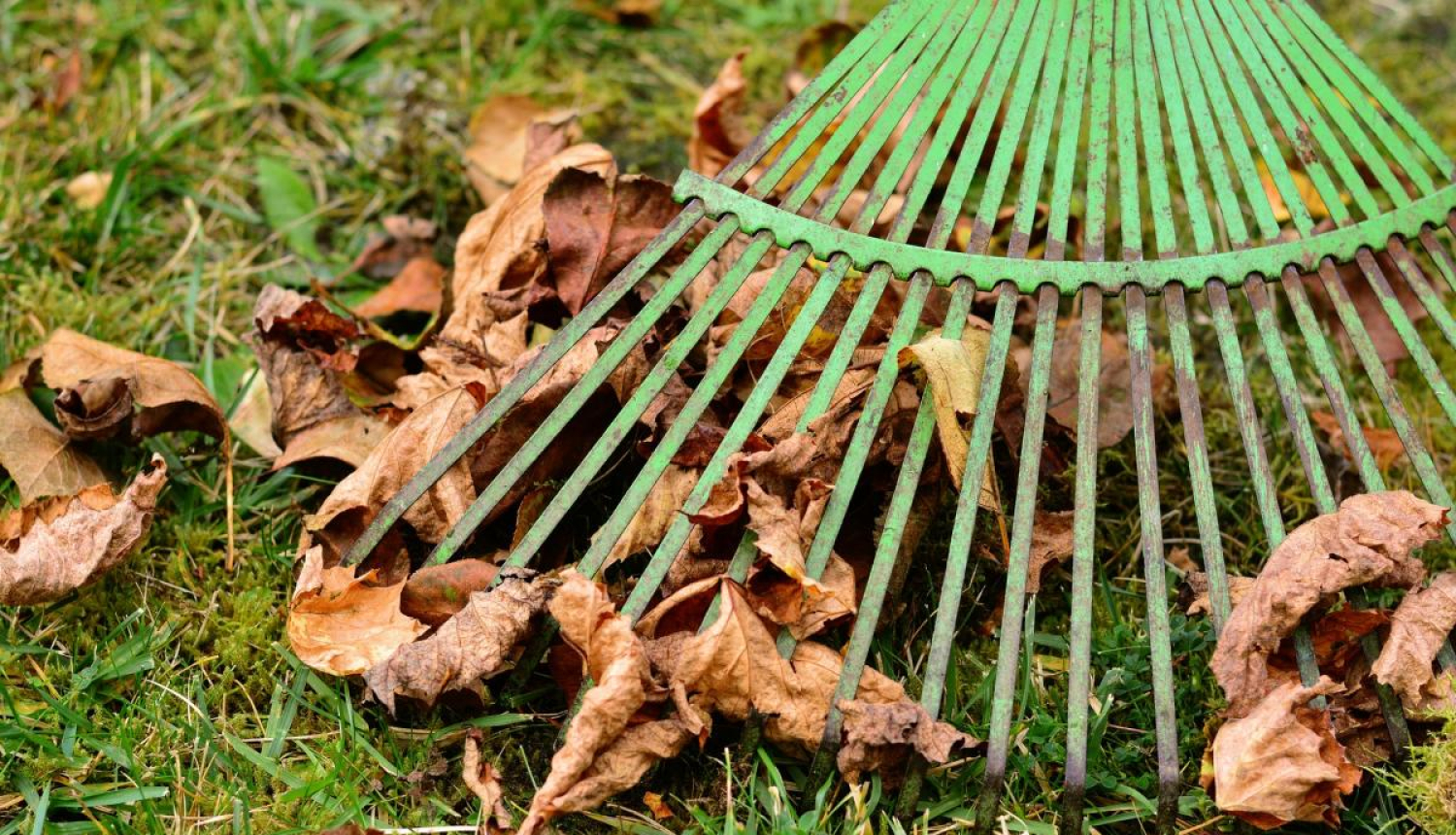 Pašvaldība atgādina – lapu dedzināšana nav atļauta!