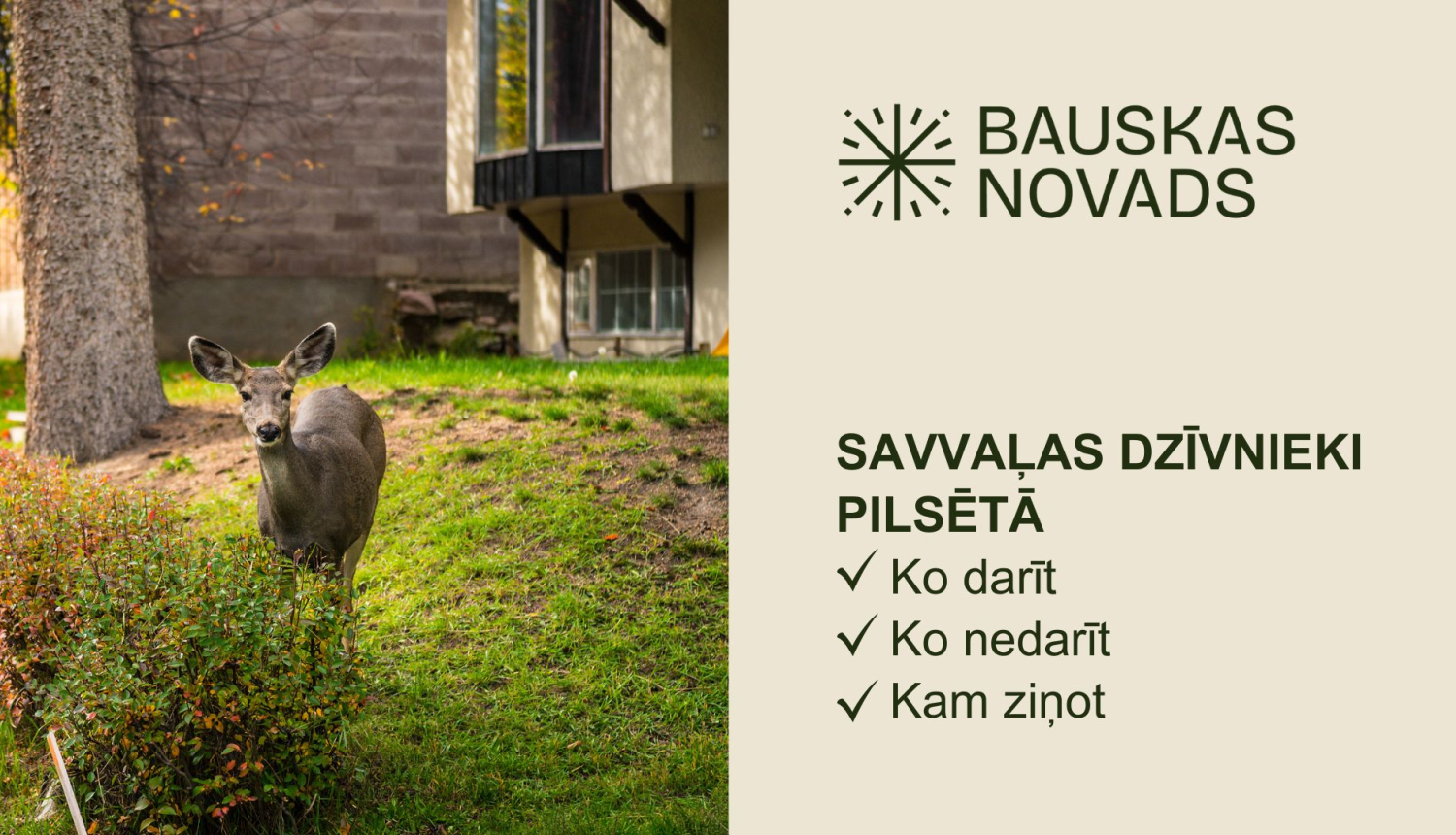 Savvaļas dzīvnieki pilsētā