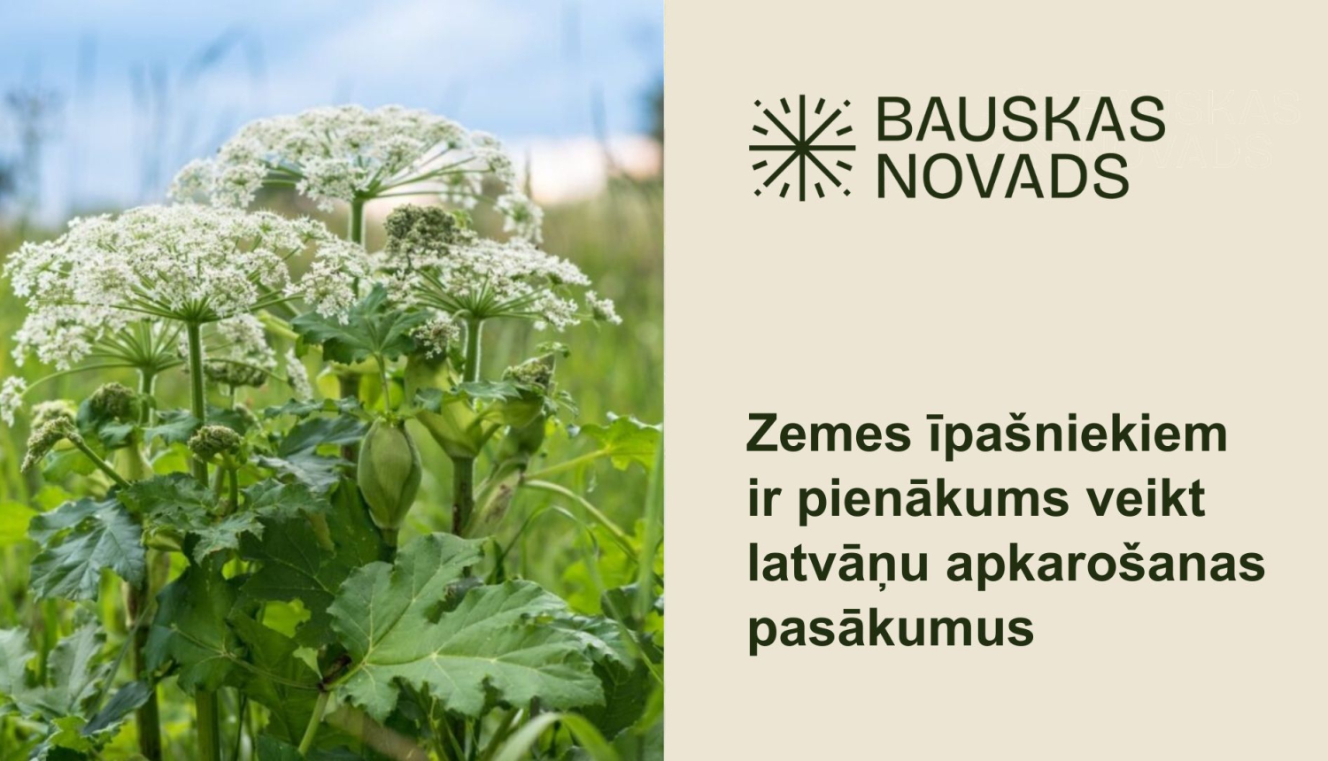 Aprīlī jāuzsāk latvāņu apkarošana