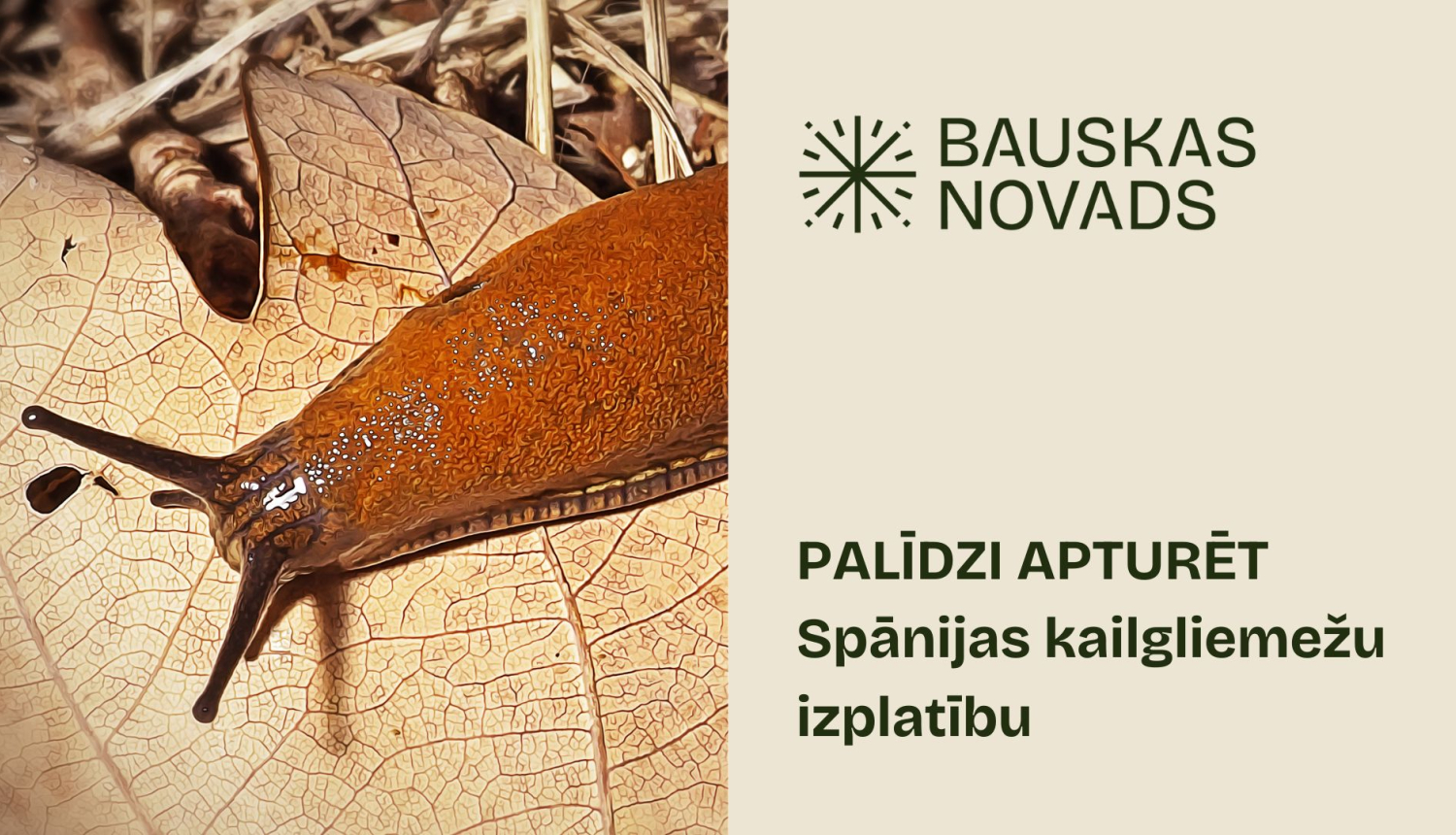 Spānijas kailgliemezis