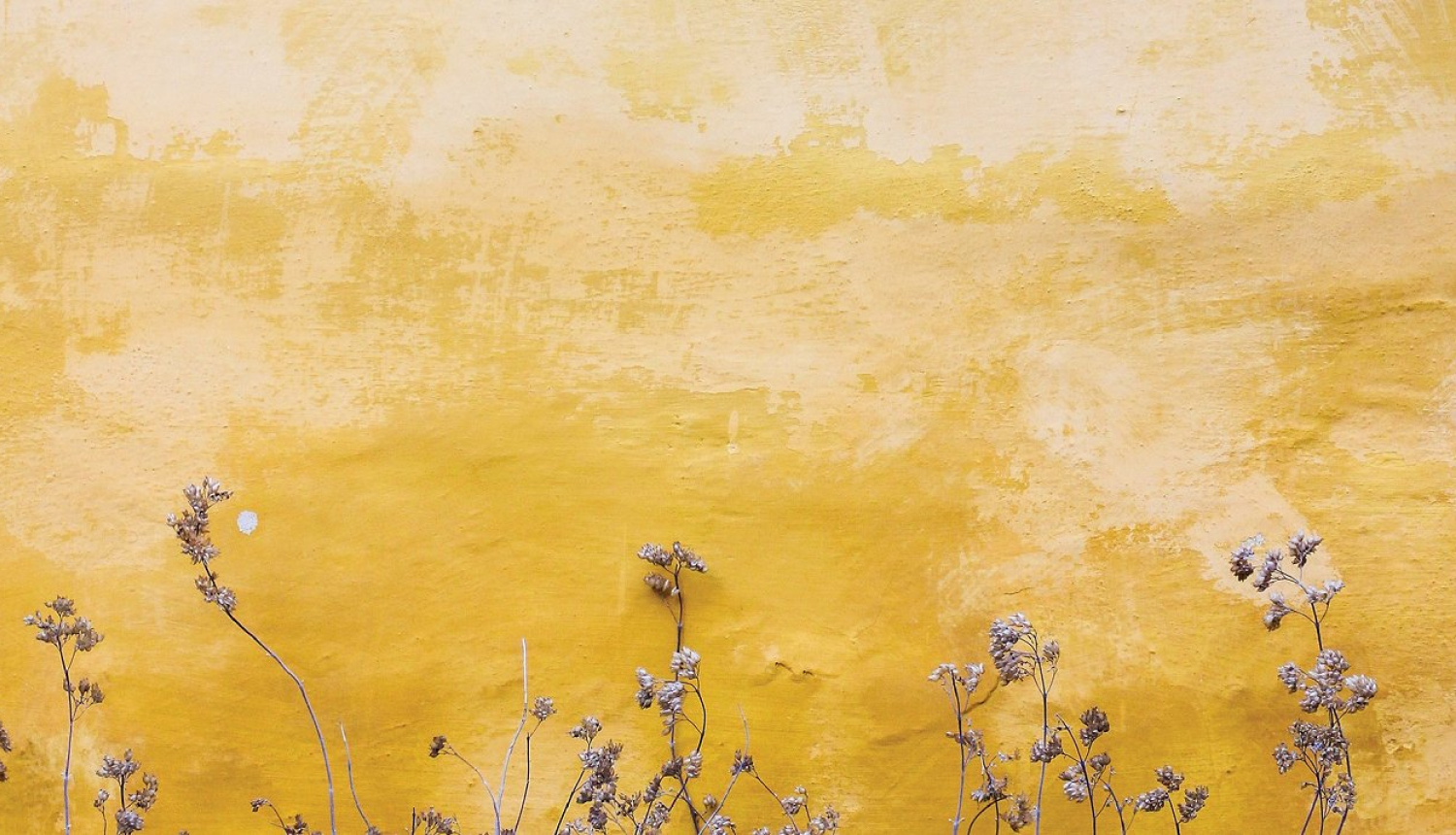 Balso par ainavu balvu