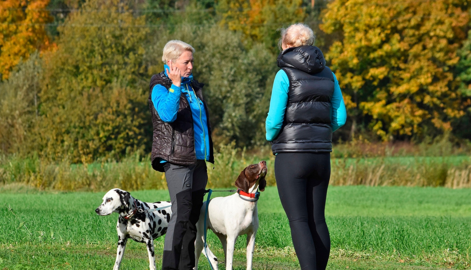 Apļa krosā 12-10-2024