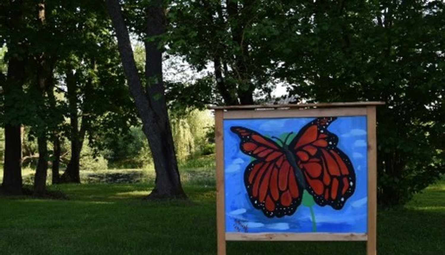 dabas mākslas galerija