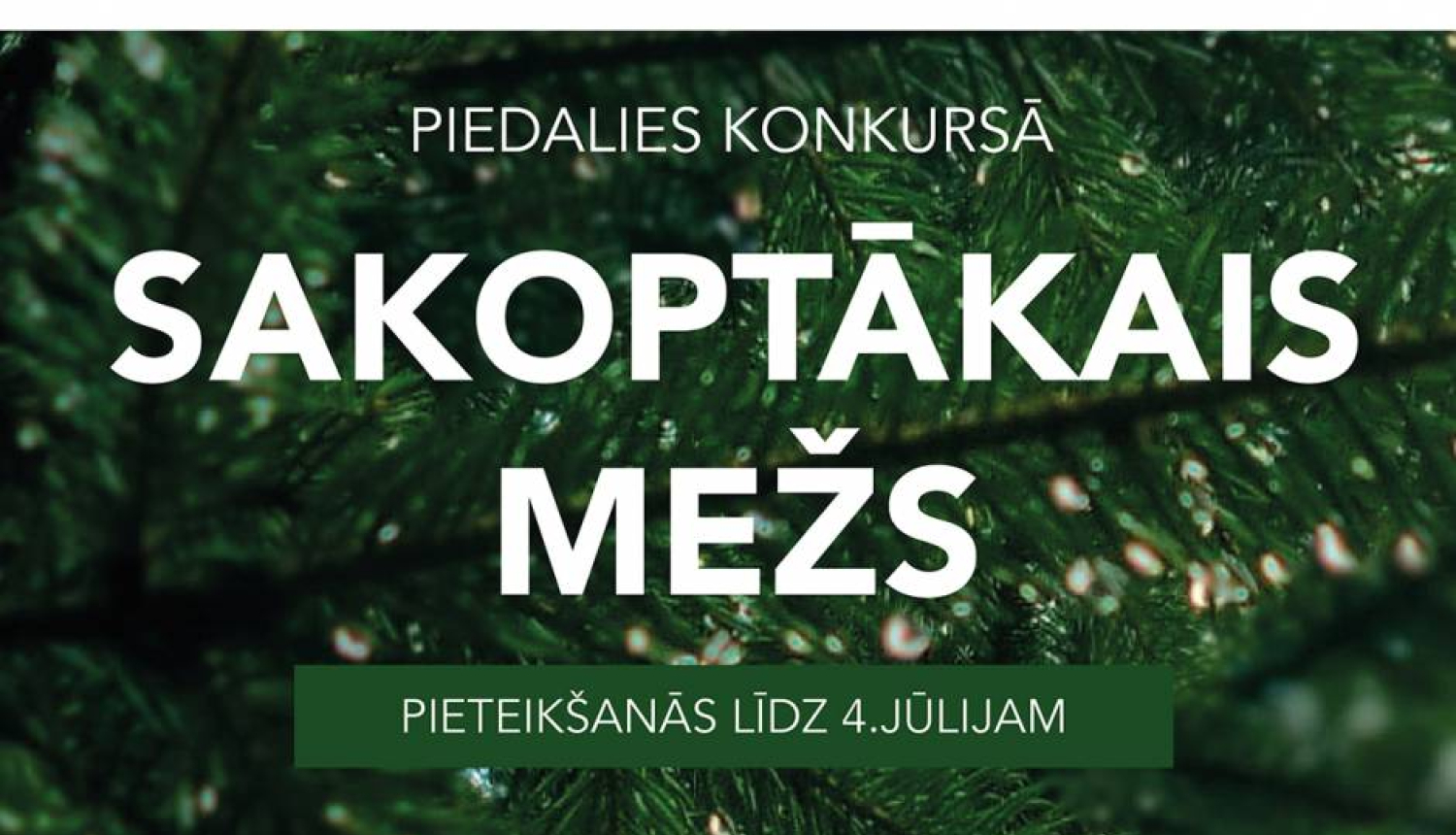 Organizē konkursu «Sakoptākais mežs»