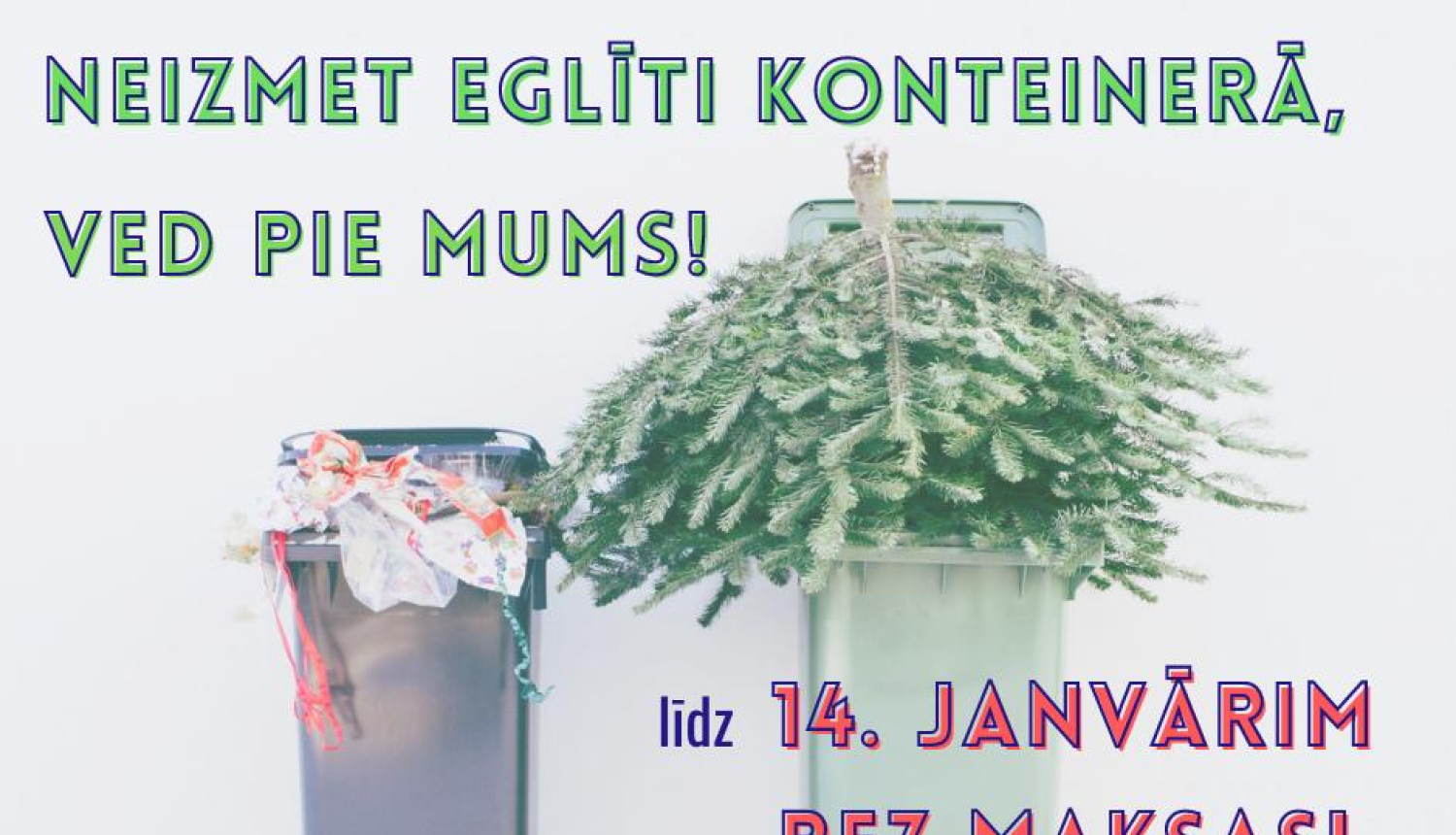 Iedzīvotāji aicināti bez maksas nodot Ziemassvētku eglītes