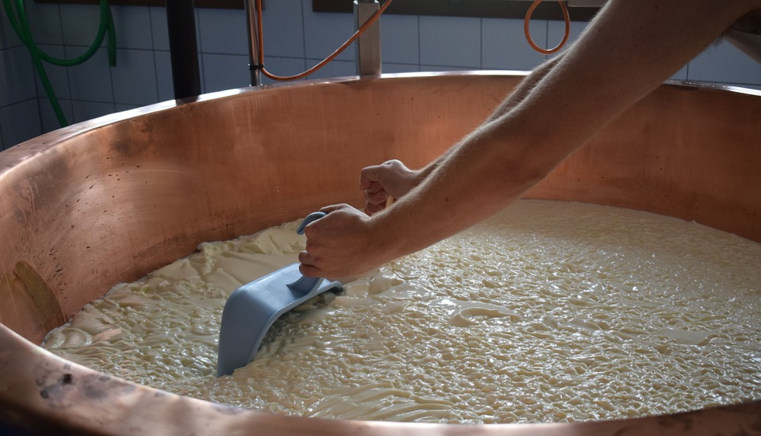 Izsludina atklāta konkursa projektu aktivitātē «Vietējās ekonomikas stiprināšanas iniciatīvas»