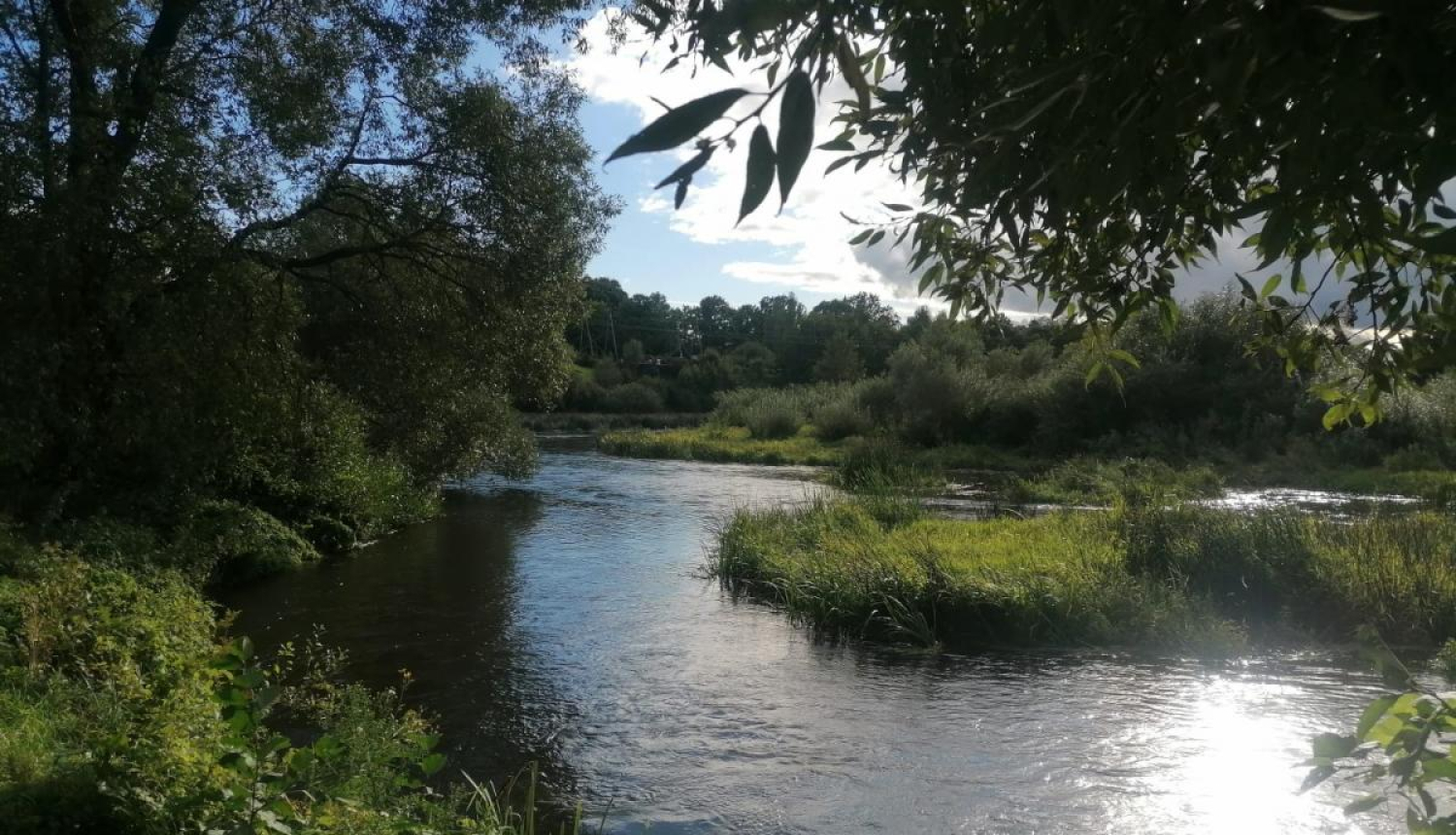 Mēmeles upes aizauguma tīrīšanas un pļaušanas darbi