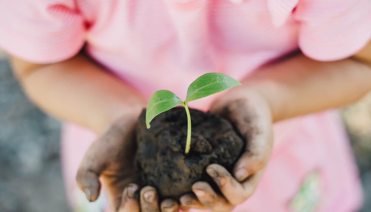 Aptaujā aicina izteikt viedokli par pielāgošanos klimata pārmaiņām Zemgales reģionā