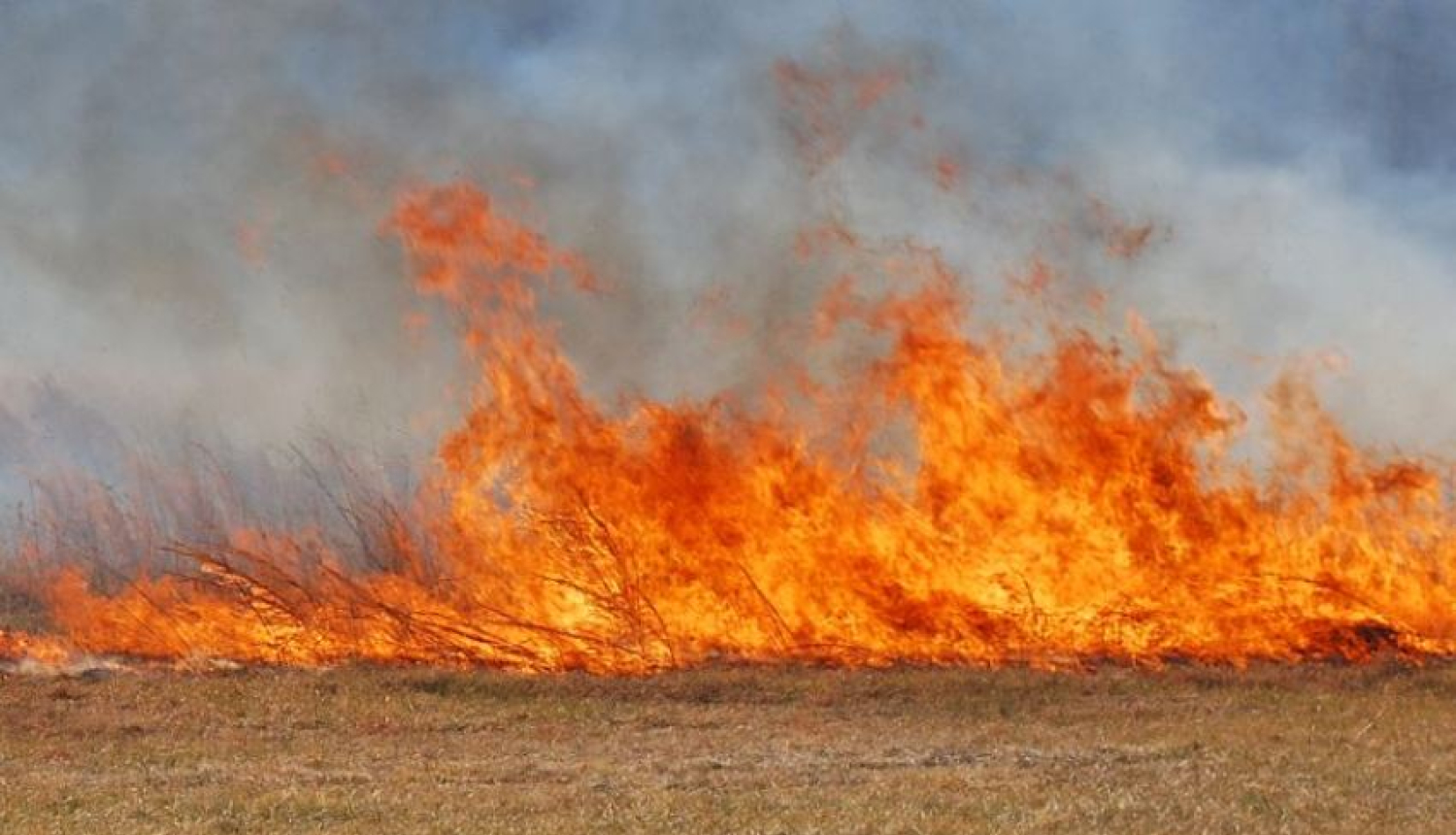 Pašvaldības policija atgādina - dedzināt pērno zāli, jeb kūlu ir aizliegts