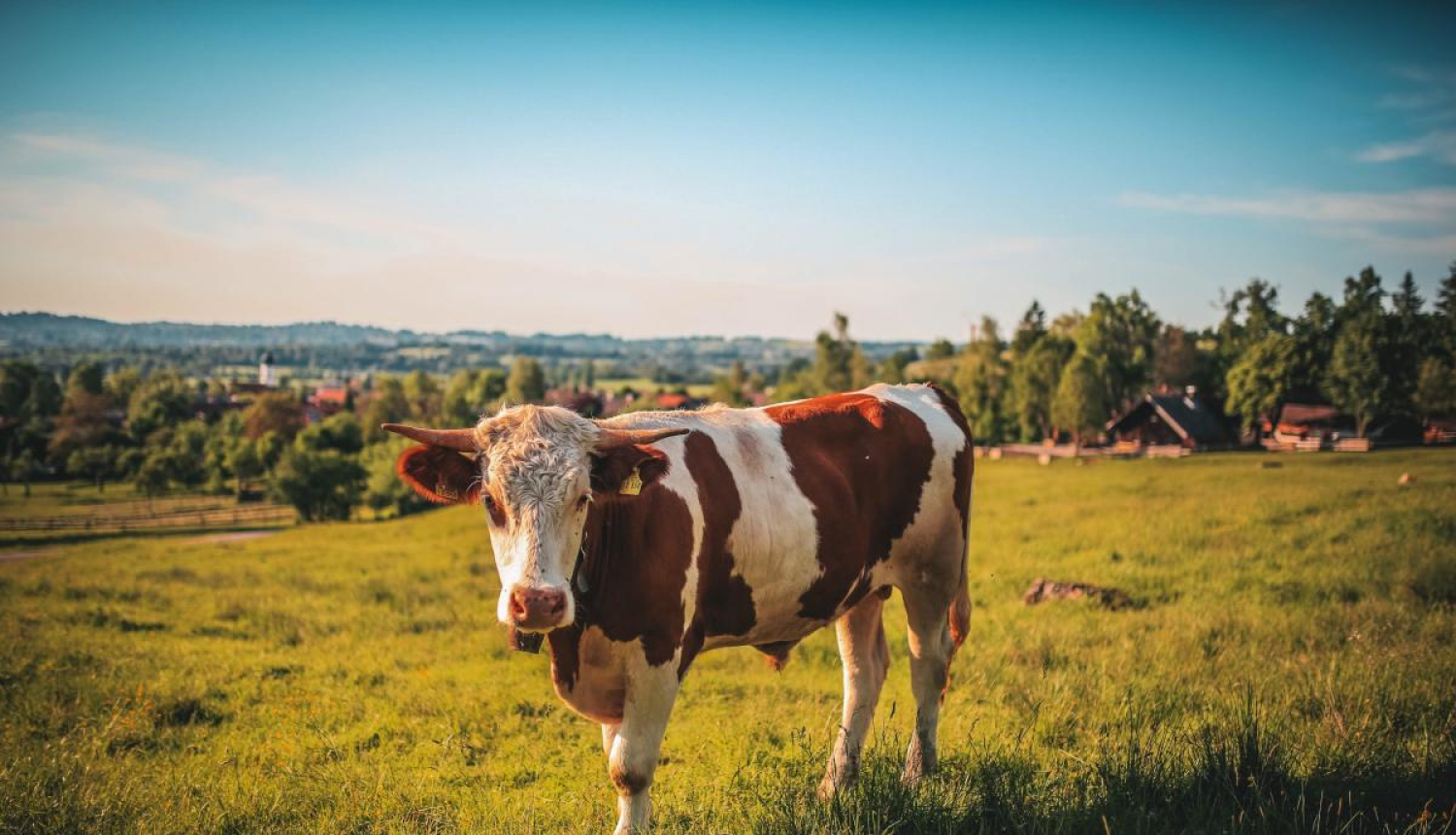 Uzņēmējus aicina piedalīties aptaujā par aktuāliem tematiem, apmācībām un semināriem