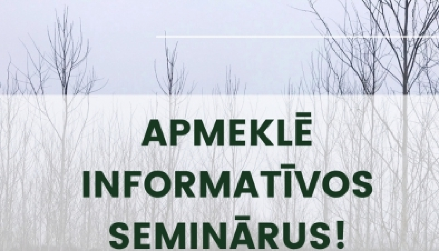Semināri par atbalstu mežsaimniecībā