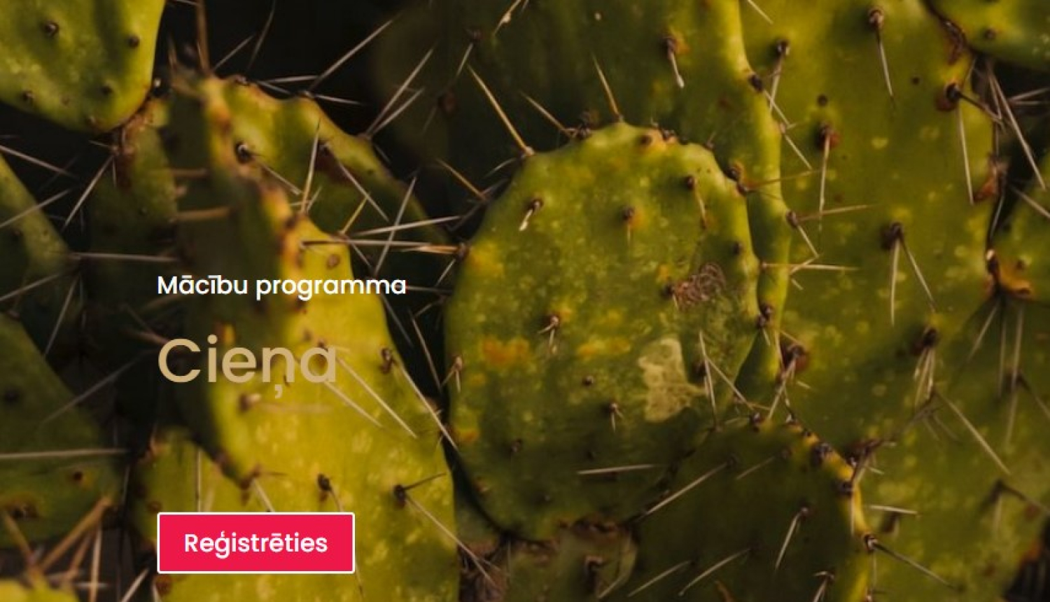 Mācību programma Cieņa