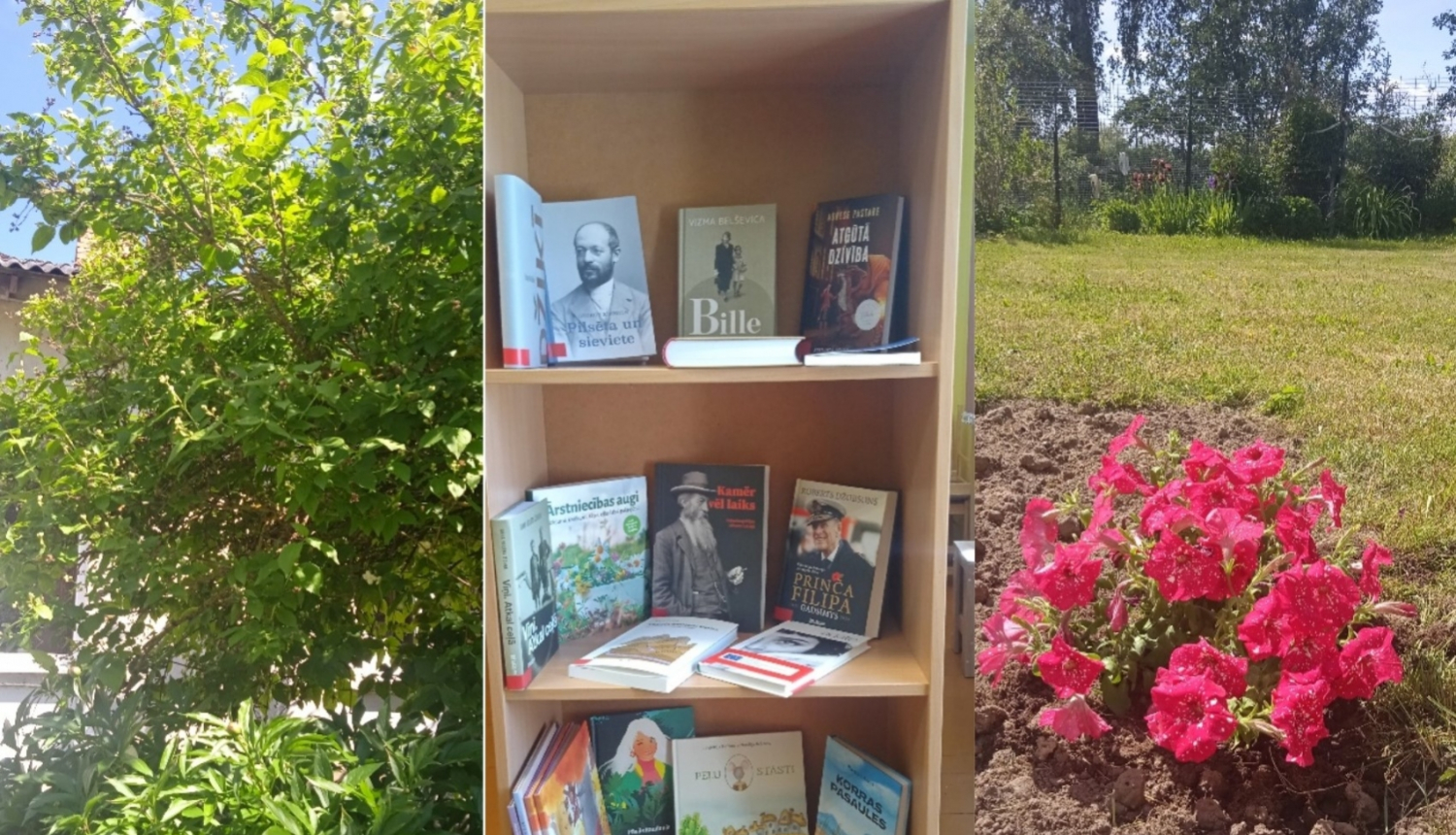 Vasara Rosmes bibliotēkā