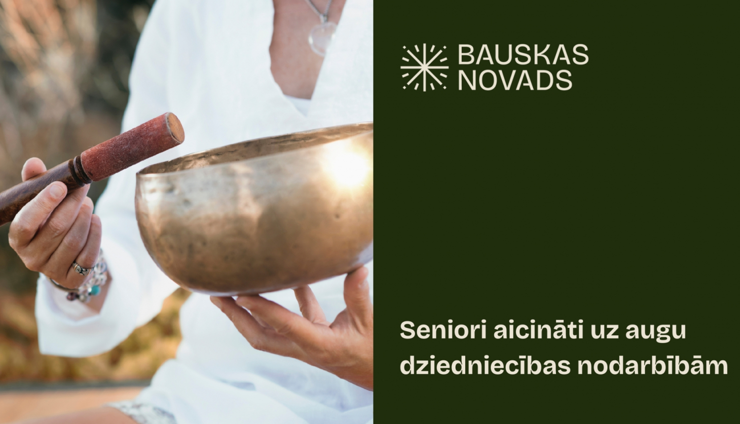 Senioru akadēmija