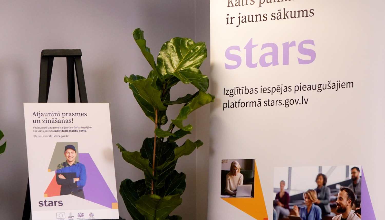 stars