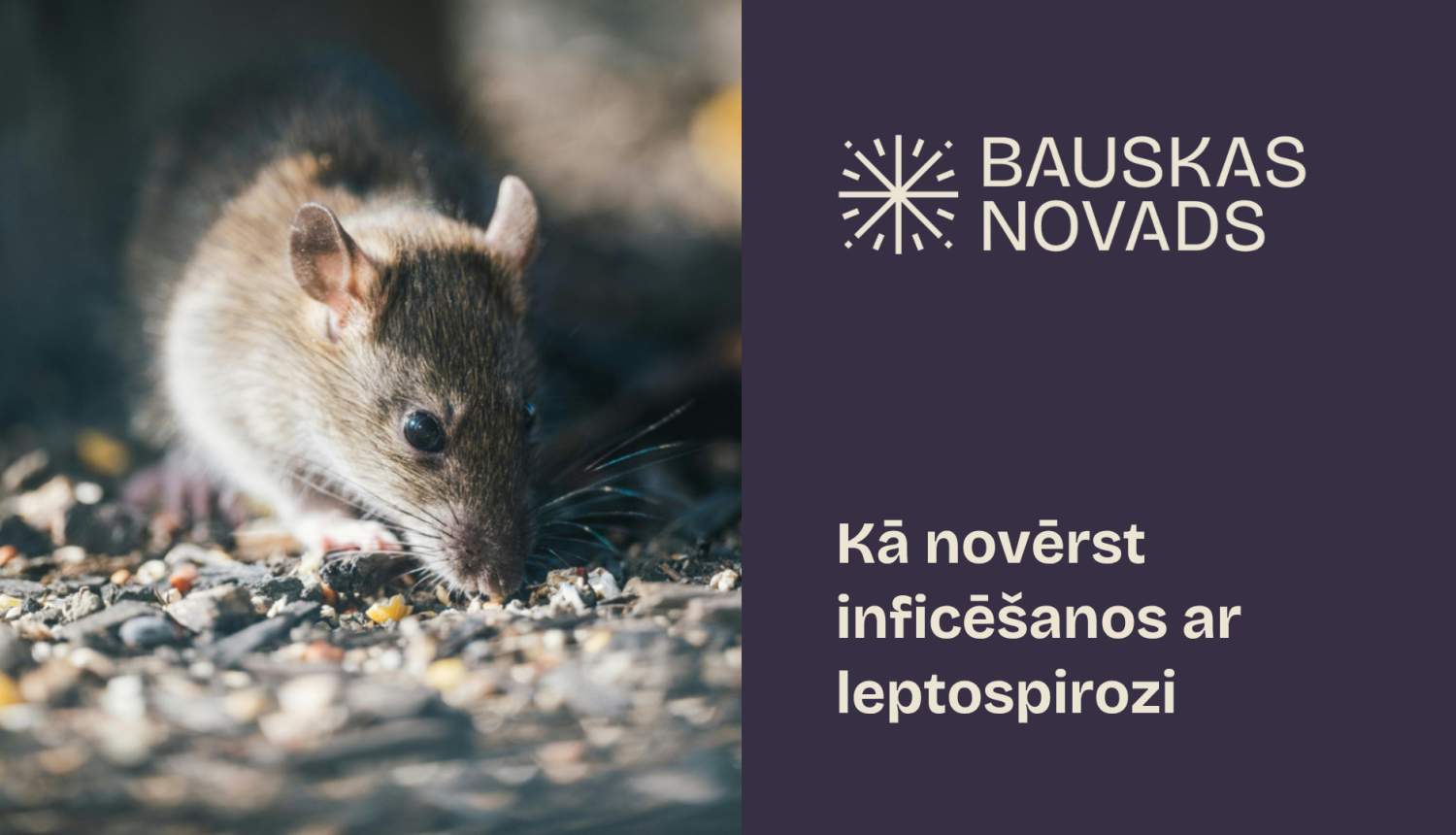 Saslimstība ar leptospirozi