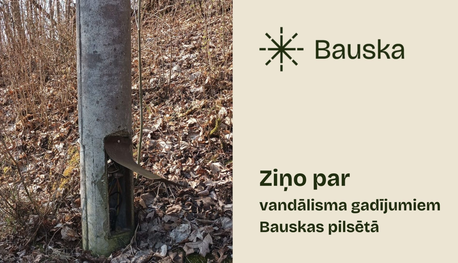 bilde
