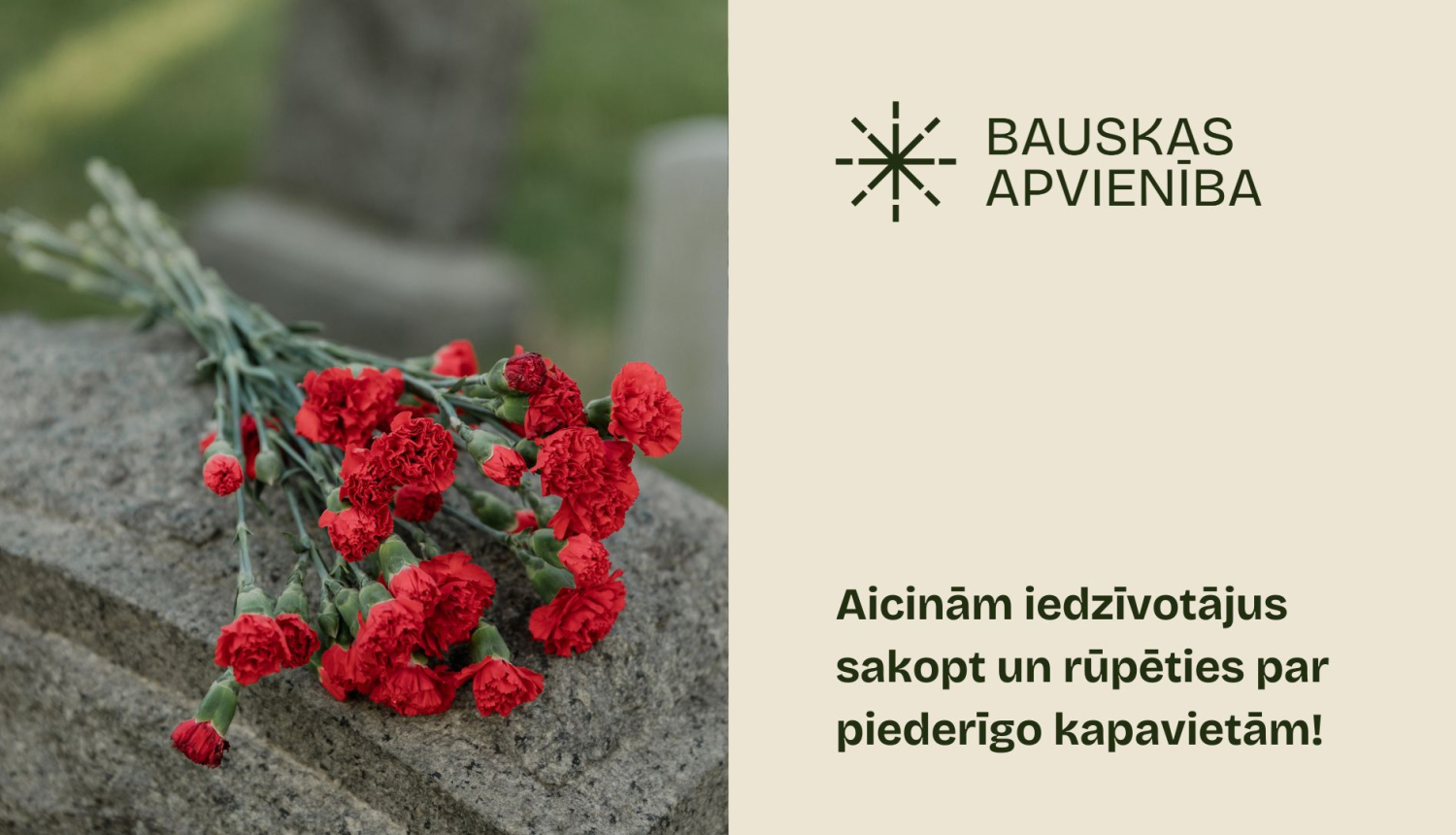 bilde