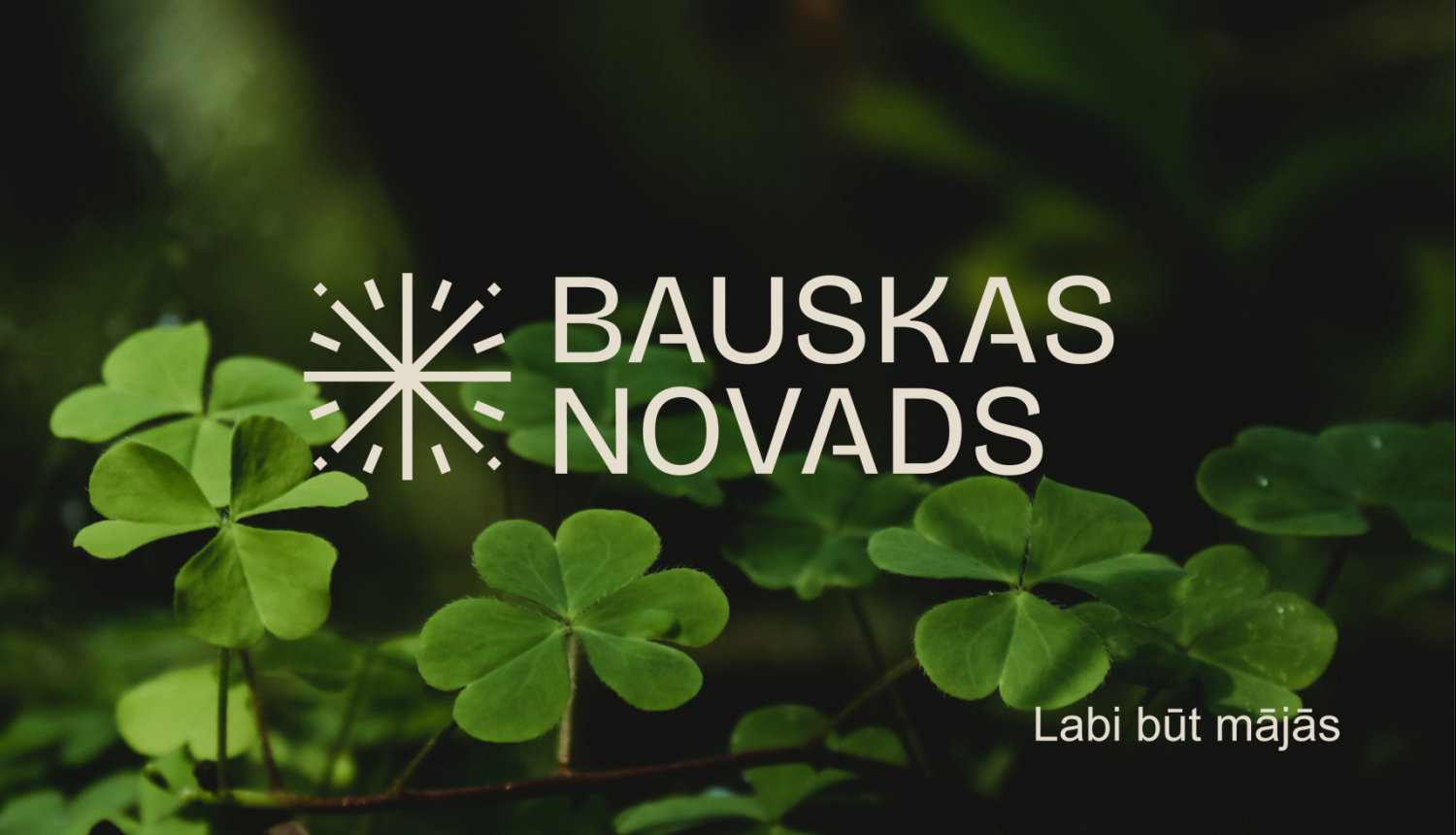 Bauskas novads vizuālā identitāte