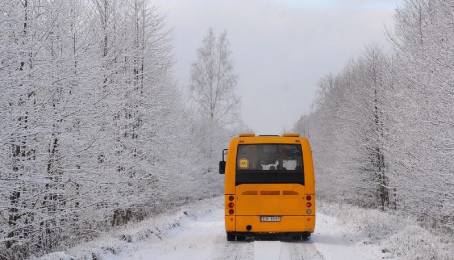 Šodien atcelti divi reisi maršrutā Bauska-Viesturi un Viesturi-Bauska